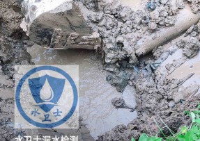 阜城水管漏水检测公司5